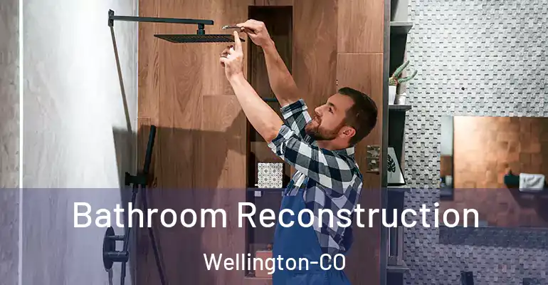 inner Bathroom imggen Bathroom Reconstruction Wellington-CO