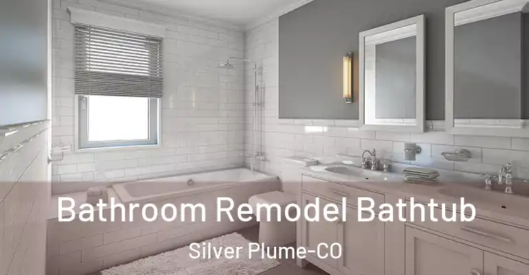 inner Bathroom imggen Bathroom Remodel Bathtub Silver Plume-CO