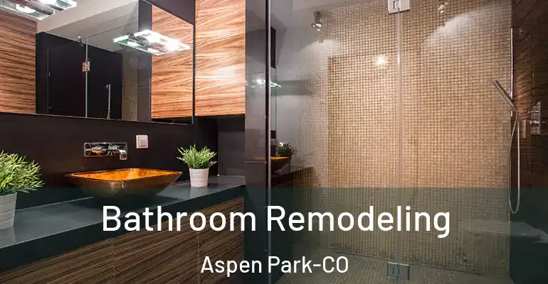 inner Bathroom imggen Bathroom Remodeling Aspen Park-CO