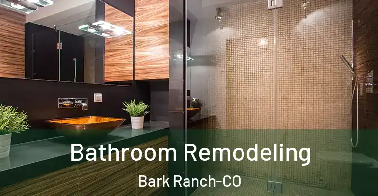 inner Bathroom imggen Bathroom Remodeling Bark Ranch-CO