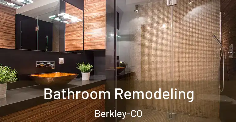 inner Bathroom imggen Bathroom Remodeling Berkley-CO