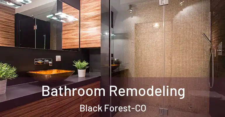 inner Bathroom imggen Bathroom Remodeling Black Forest-CO