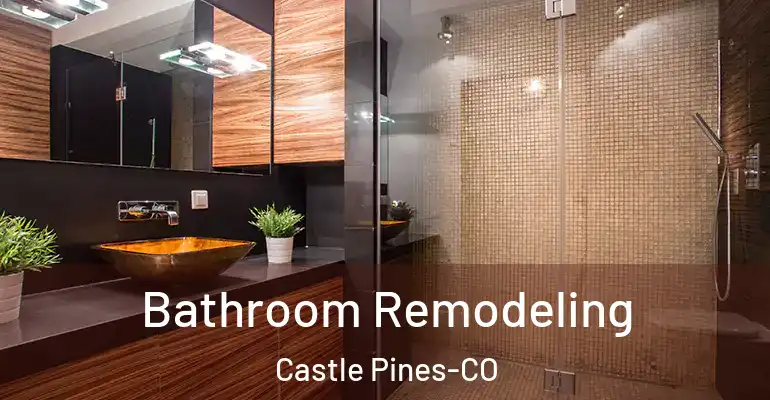 inner Bathroom imggen Bathroom Remodeling Castle Pines-CO
