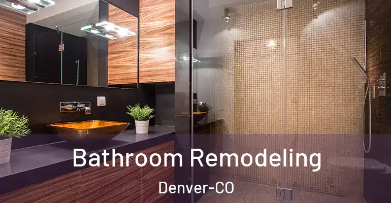 inner Bathroom imggen Bathroom Remodeling Denver-CO