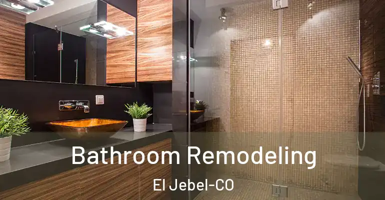 inner Bathroom imggen Bathroom Remodeling El Jebel-CO