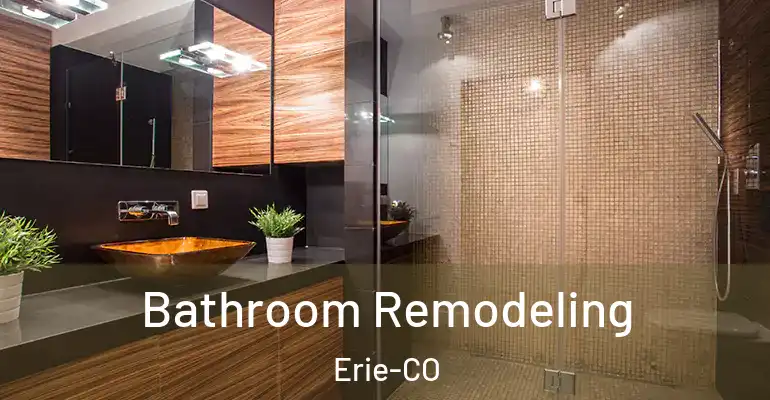 inner Bathroom imggen Bathroom Remodeling Erie-CO