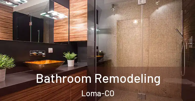 inner Bathroom imggen Bathroom Remodeling Loma-CO