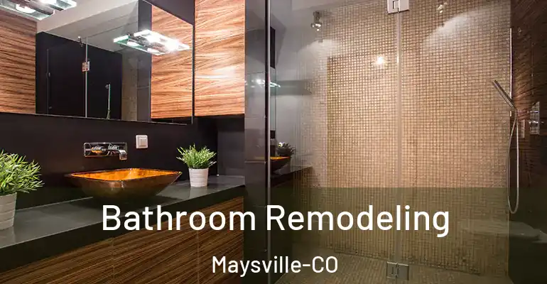 inner Bathroom imggen Bathroom Remodeling Maysville-CO