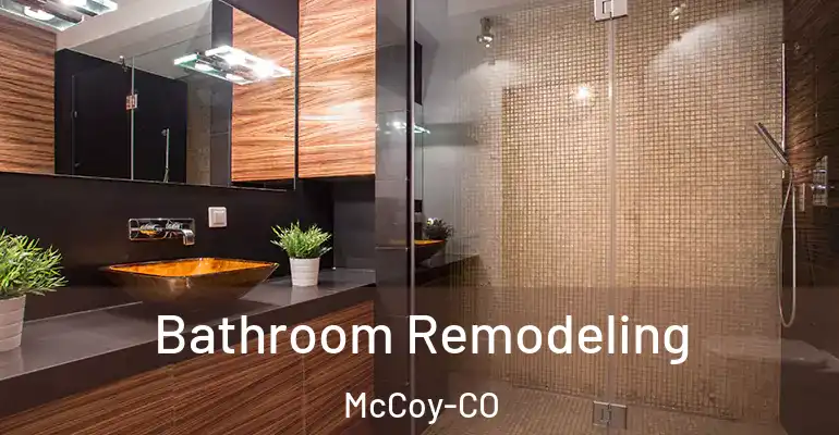 inner Bathroom imggen Bathroom Remodeling McCoy-CO