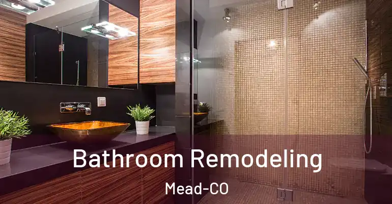 inner Bathroom imggen Bathroom Remodeling Mead-CO
