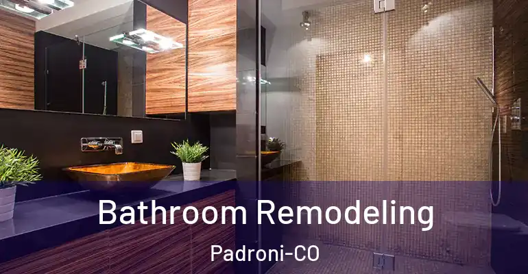 inner Bathroom imggen Bathroom Remodeling Padroni-CO