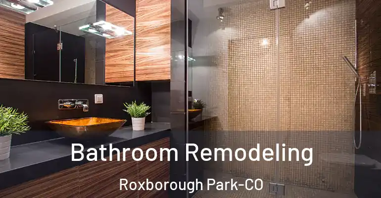 inner Bathroom imggen Bathroom Remodeling Roxborough Park-CO