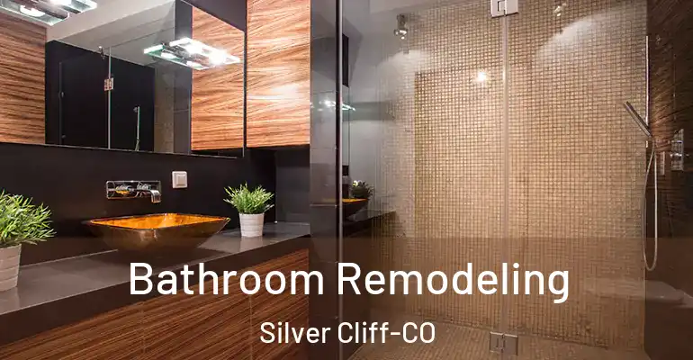 inner Bathroom imggen Bathroom Remodeling Silver Cliff-CO