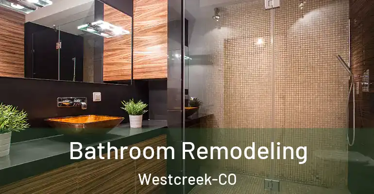 inner Bathroom imggen Bathroom Remodeling Westcreek-CO