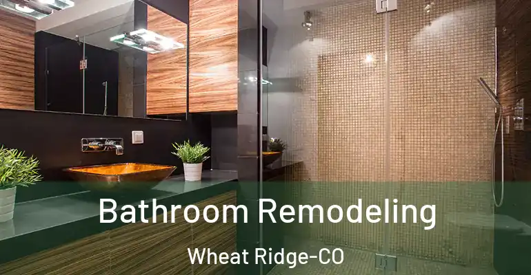 inner Bathroom imggen Bathroom Remodeling Wheat Ridge-CO