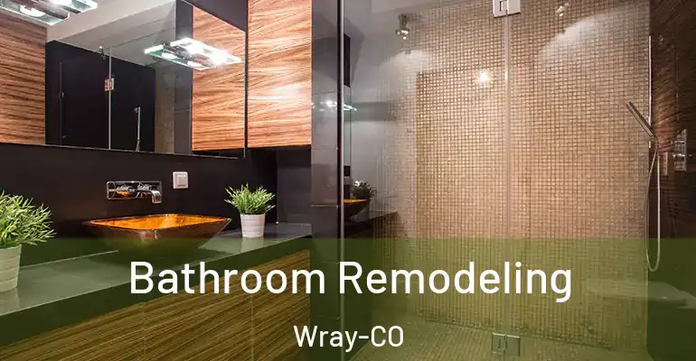 inner Bathroom imggen Bathroom Remodeling Wray-CO