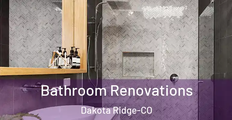 inner Bathroom imggen Bathroom Renovations Dakota Ridge-CO