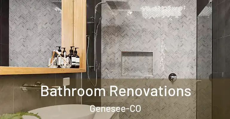 inner Bathroom imggen Bathroom Renovations Genesee-CO