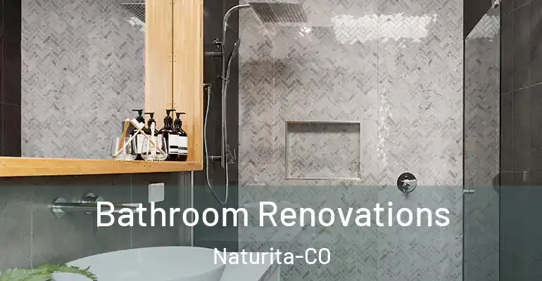 inner Bathroom imggen Bathroom Renovations Naturita-CO