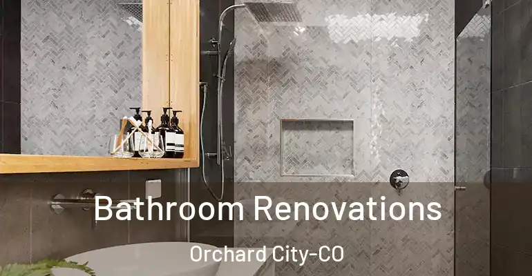 inner Bathroom imggen Bathroom Renovations Orchard City-CO