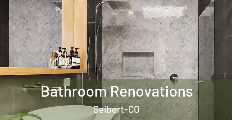 inner Bathroom imggen Bathroom Renovations Seibert-CO