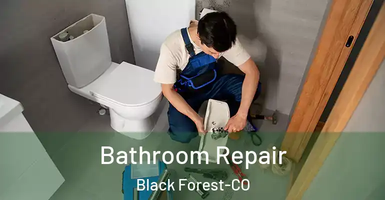 inner Bathroom imggen Bathroom Repair Black Forest-CO