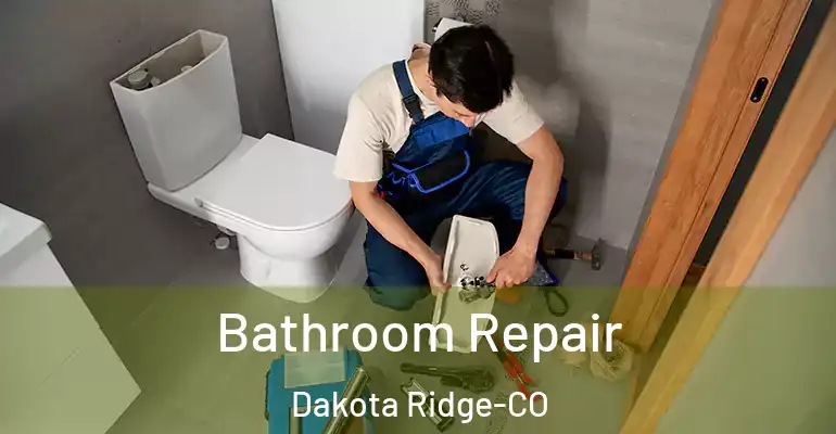 inner Bathroom imggen Bathroom Repair Dakota Ridge-CO