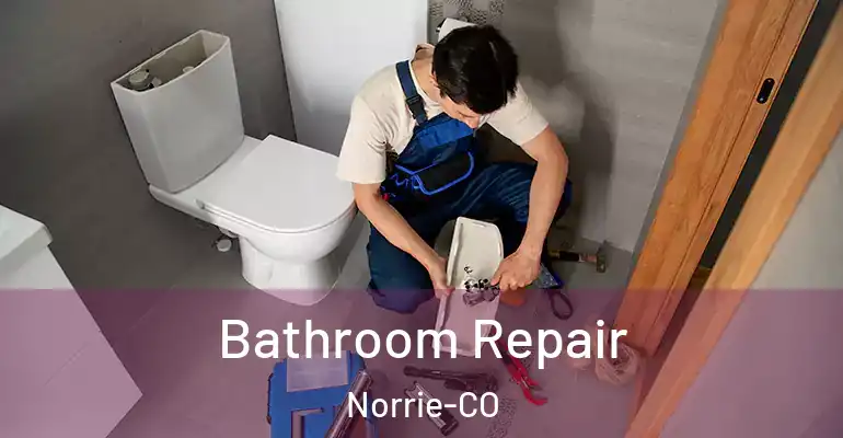 inner Bathroom imggen Bathroom Repair Norrie-CO