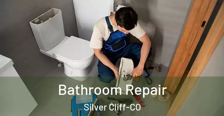 inner Bathroom imggen Bathroom Repair Silver Cliff-CO
