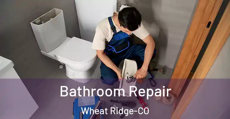 inner Bathroom imggen Bathroom Repair Wheat Ridge-CO