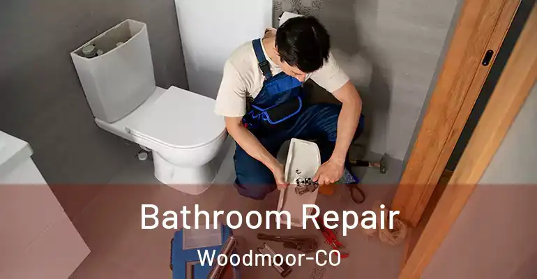 inner Bathroom imggen Bathroom Repair Woodmoor-CO