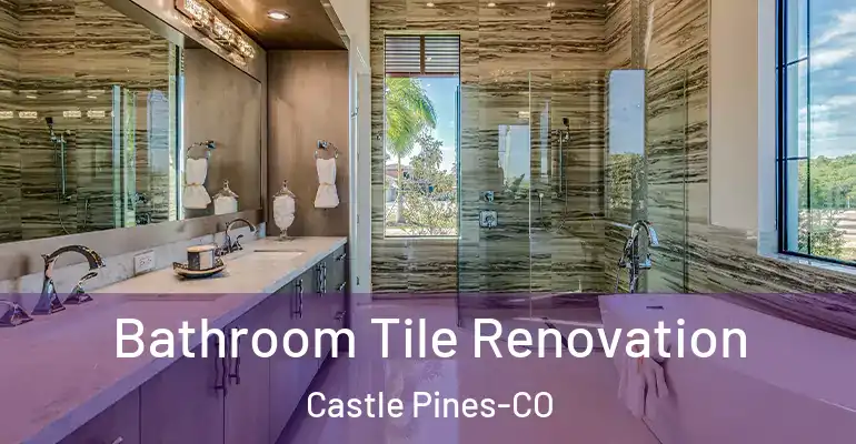 inner Bathroom imggen Bathroom Tile Renovation Castle Pines-CO