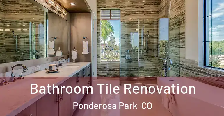 inner Bathroom imggen Bathroom Tile Renovation Ponderosa Park-CO