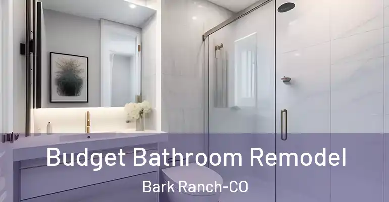 inner Bathroom imggen Budget Bathroom Remodel Bark Ranch-CO