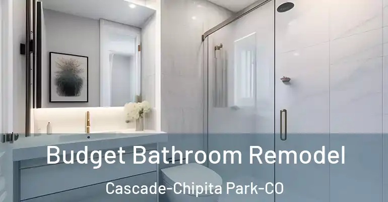 inner Bathroom imggen Budget Bathroom Remodel Cascade-Chipita Park-CO