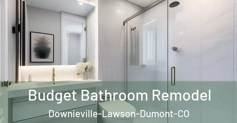 inner Bathroom imggen Budget Bathroom Remodel Downieville-Lawson-Dumont-CO
