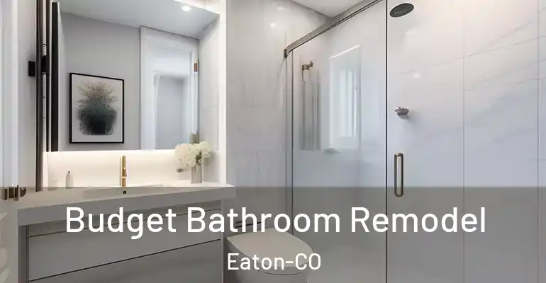 inner Bathroom imggen Budget Bathroom Remodel Eaton-CO