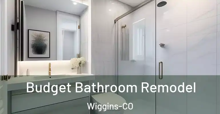inner Bathroom imggen Budget Bathroom Remodel Wiggins-CO