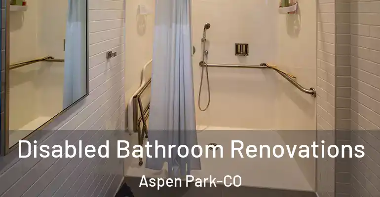 inner Bathroom imggen Disabled Bathroom Renovations Aspen Park-CO
