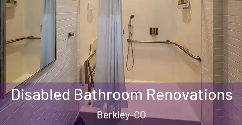 inner Bathroom imggen Disabled Bathroom Renovations Berkley-CO