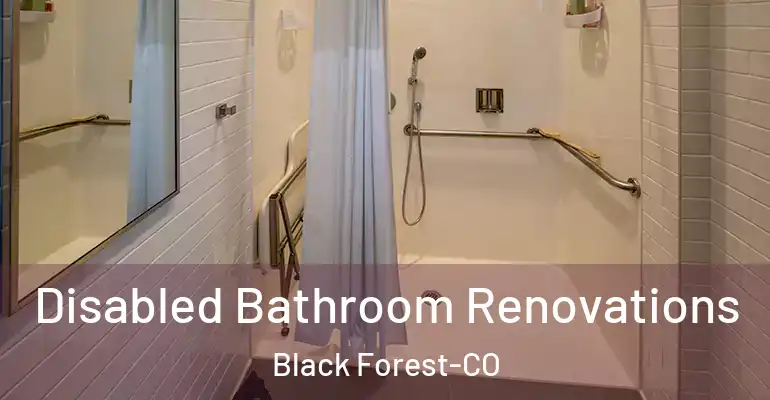 inner Bathroom imggen Disabled Bathroom Renovations Black Forest-CO