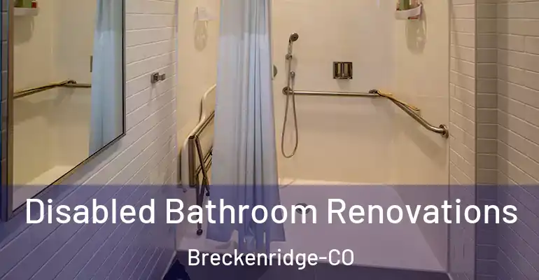 inner Bathroom imggen Disabled Bathroom Renovations Breckenridge-CO