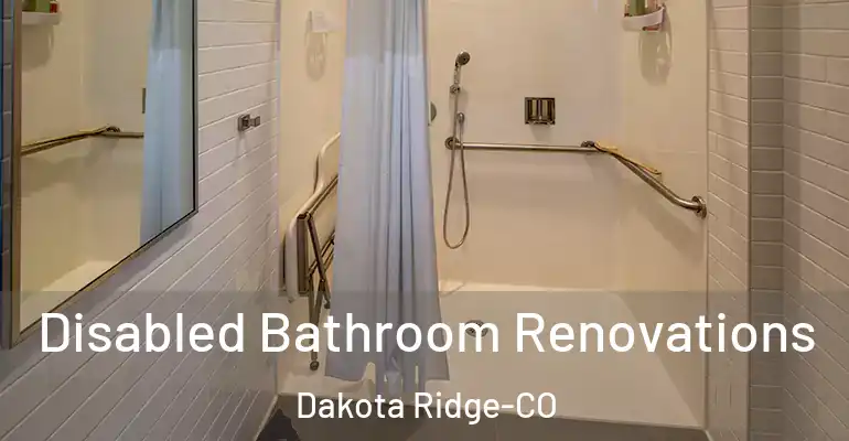 inner Bathroom imggen Disabled Bathroom Renovations Dakota Ridge-CO