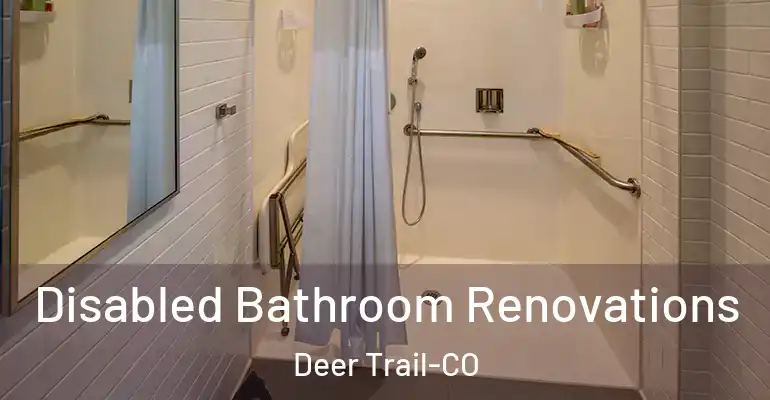 inner Bathroom imggen Disabled Bathroom Renovations Deer Trail-CO