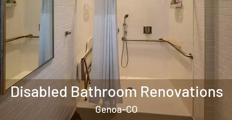 inner Bathroom imggen Disabled Bathroom Renovations Genoa-CO