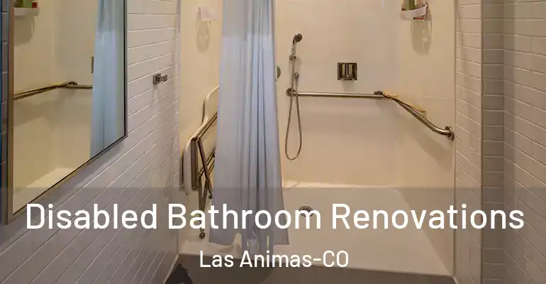 inner Bathroom imggen Disabled Bathroom Renovations Las Animas-CO