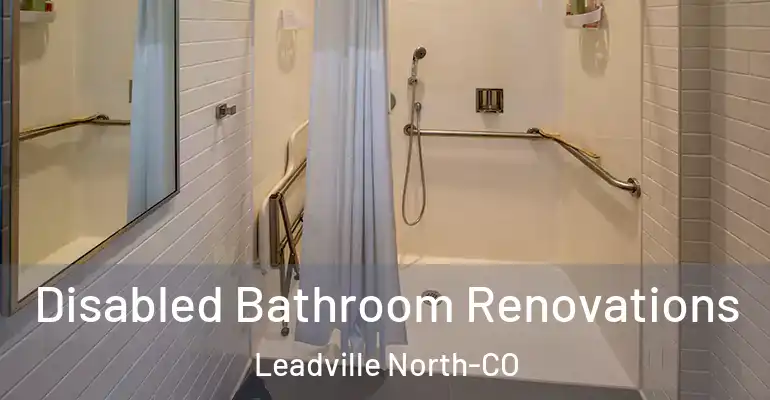 inner Bathroom imggen Disabled Bathroom Renovations Leadville North-CO