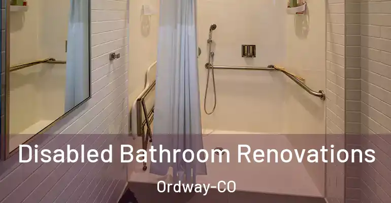 inner Bathroom imggen Disabled Bathroom Renovations Ordway-CO
