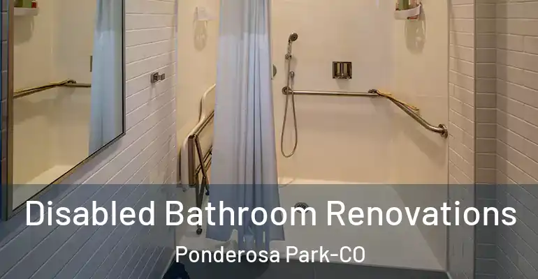 inner Bathroom imggen Disabled Bathroom Renovations Ponderosa Park-CO