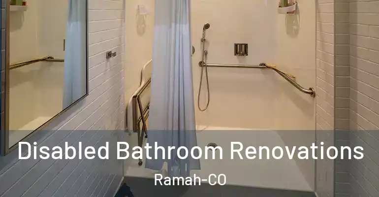inner Bathroom imggen Disabled Bathroom Renovations Ramah-CO